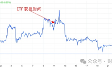 比特币ETF通过：BTC见光死之后是涅槃重生