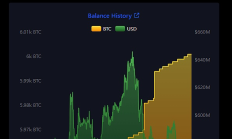 萨尔瓦多购入5.69亿美元BTC 目前持有数量超6000枚