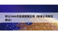 转让5000万投资担保公司（担保公司股权转让）