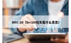 BRC-20（brc20铭文是什么意思）