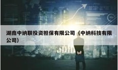 湖南中纳联投资担保有限公司（中纳科技有限公司）