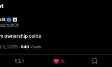 “我们称之为所有权币”：DAO治理创新