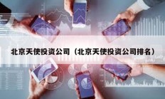 北京天使投资公司（北京天使投资公司排名）