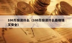 100万投资什么（100万投资什么最赚钱又安全）