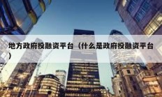 地方政府投融资平台（什么是政府投融资平台）