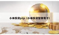 小米投资p2p（小米投资智微电子）