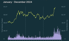 CoinGecko：2024 年加密行业年度报告