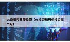 vc投资和天使投资（vc投资和天使投资哪个好）