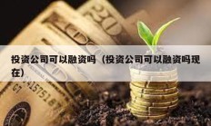 投资公司可以融资吗（投资公司可以融资吗现在）