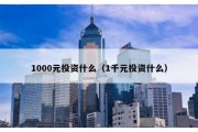 1000元投资什么（1千元投资什么）