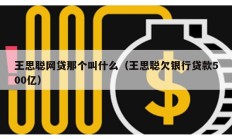 王思聪网贷那个叫什么（王思聪欠银行贷款500亿）