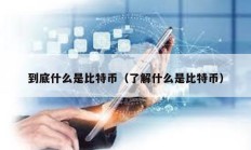 到底什么是比特币（了解什么是比特币）