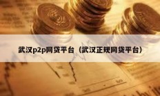 武汉p2p网贷平台（武汉正规网贷平台）