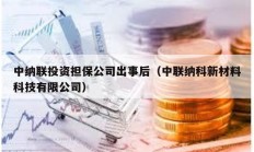 中纳联投资担保公司出事后（中联纳科新材料科技有限公司）