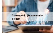 framework（framework40干嘛的）