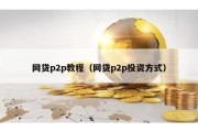 网贷p2p教程（网贷p2p投资方式）