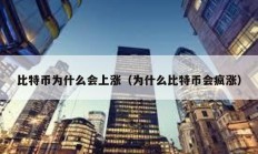 比特币为什么会上涨（为什么比特币会疯涨）