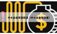 中小企业项目投资（中小企业投资者）