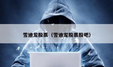 雪迪龙股票（雪迪龙股票股吧）