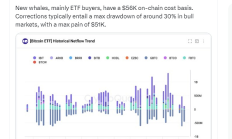 加密货币分析师表示：比特币 ETF 需求可能会上升