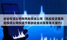 创业投资公司和风险投资公司（风险投资是风险投资公司投资于新创企业以及有非凡潜力）