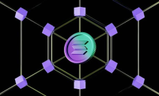 Solana 正将目光投向华尔街
