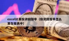 excel计算投资回报率（投资回报率怎么算在报表中）