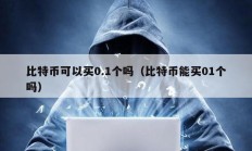 比特币可以买0.1个吗（比特币能买01个吗）