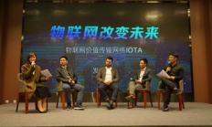 iota币发行价格,iotx币有前景吗