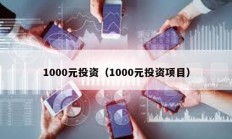 1000元投资（1000元投资项目）