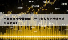 一共有多少个比特币（一共有多少个比特币地址或账号）