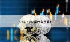 USC（usc是什么意思）