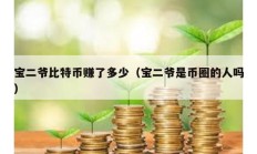 宝二爷比特币赚了多少（宝二爷是币圈的人吗）