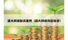 盛大网络融资案例（盛大网络风险投资）