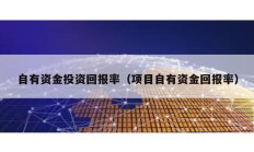 自有资金投资回报率（项目自有资金回报率）