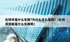 比特币是什么东西?为什么这么值钱?（比特币到底是什么东西呢）