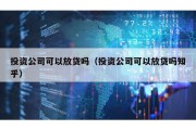 投资公司可以放贷吗（投资公司可以放贷吗知乎）