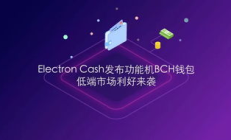 bch在线钱包,blockchain钱包中文版