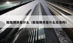 股指期货是什么（股指期货是什么交易所）