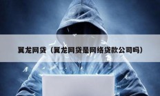 翼龙网贷（翼龙网贷是网络贷款公司吗）