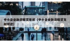 中小企业融资租赁现状（中小企业融资租赁文献综述）