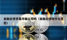 金融比特币是诈骗公司吗（金融比特币什么意思）