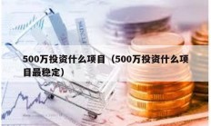 500万投资什么项目（500万投资什么项目最稳定）