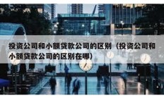 投资公司和小额贷款公司的区别（投资公司和小额贷款公司的区别在哪）