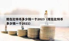 现在比特币多少钱一个2023（现在比特币多少钱一个2021）