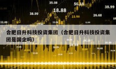 合肥日升科技投资集团（合肥日升科技投资集团是国企吗）