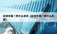 比特币是一种什么货币（比特币是一种什么东西）