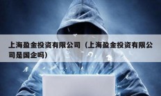 上海盈金投资有限公司（上海盈金投资有限公司是国企吗）