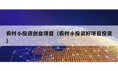 农村小投资创业项目（农村小投资好项目投资）