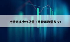 比特币多少枚总量（比特币数量多少）